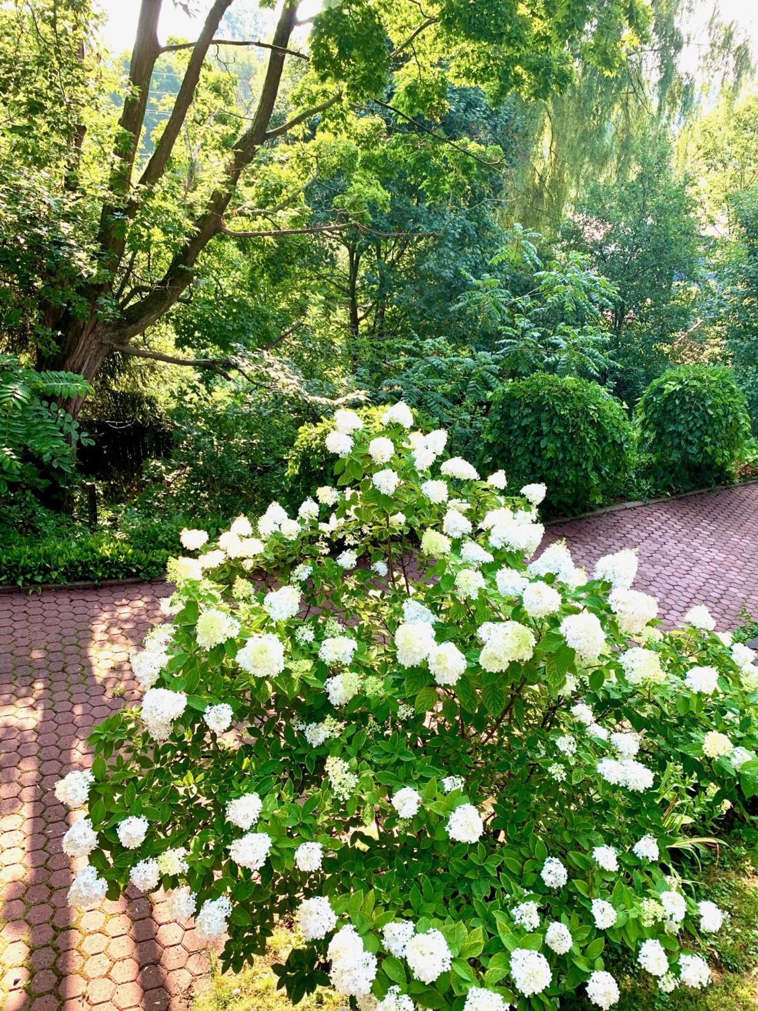 Plantation House Bed & Breakfast Port Hope Exteriör bild