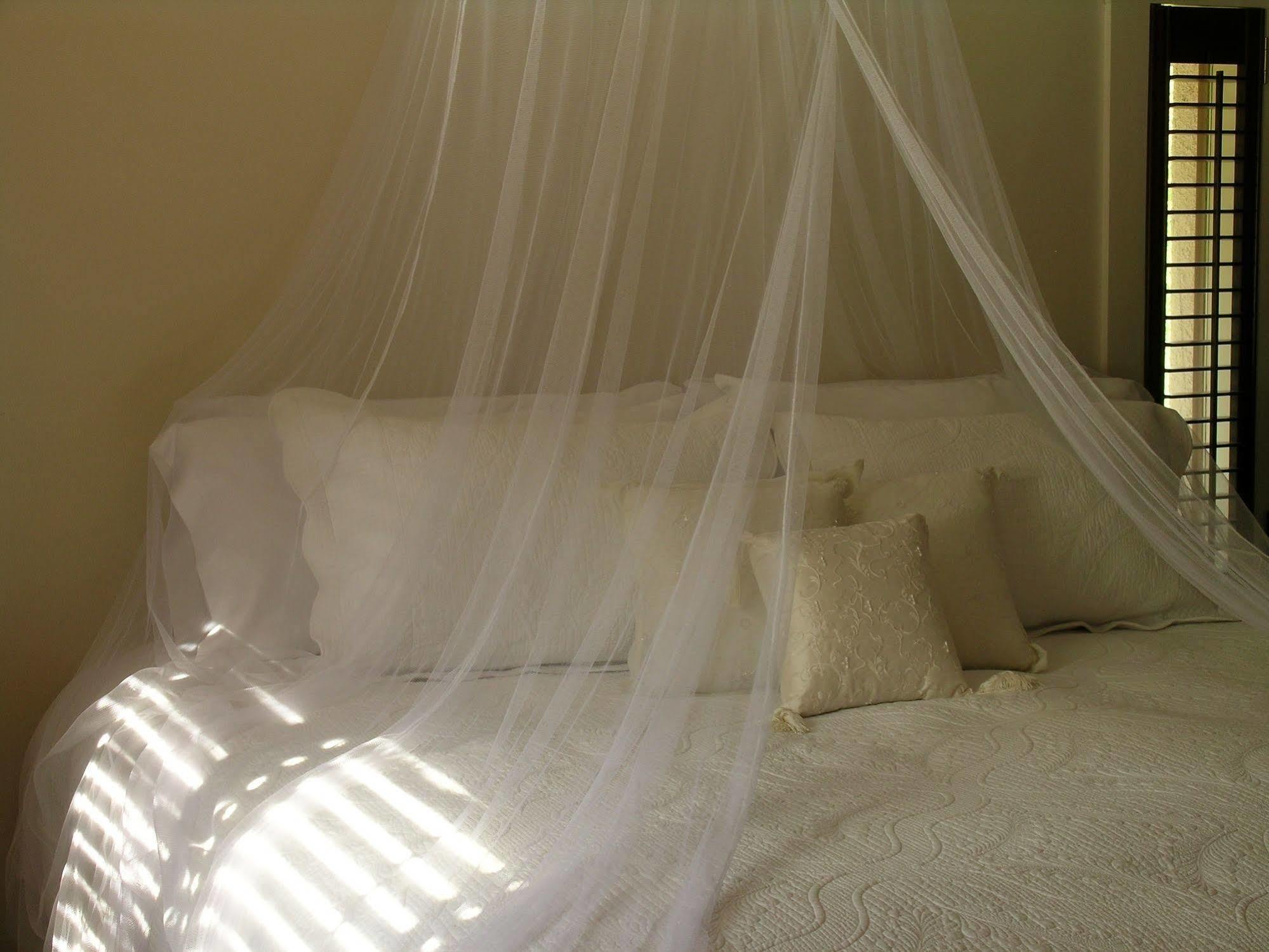 Plantation House Bed & Breakfast Port Hope Exteriör bild
